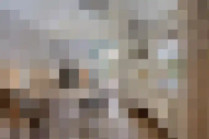 Parallelweg 25 Opheusden thumbnail 28