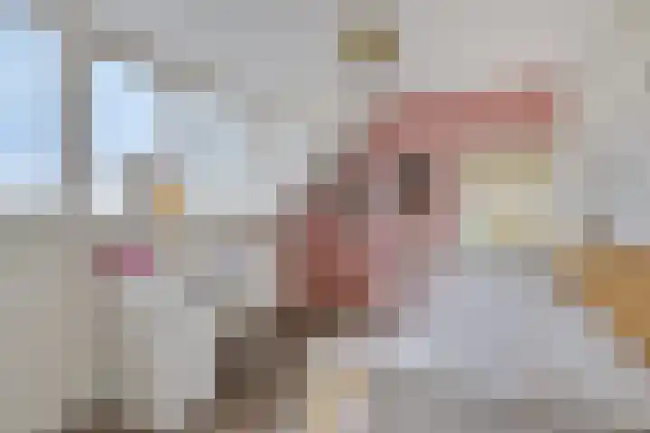 Parallelweg 25 Opheusden thumbnail 33