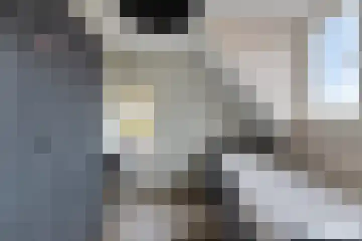 Parallelweg 25 Opheusden thumbnail 36