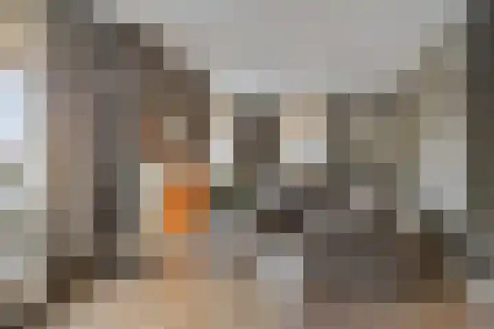 Parallelweg 25 Opheusden thumbnail 4