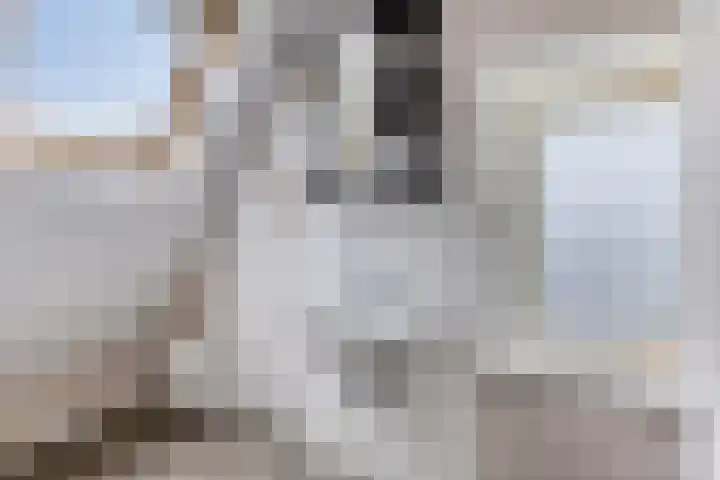 Parallelweg 25 Opheusden thumbnail 40