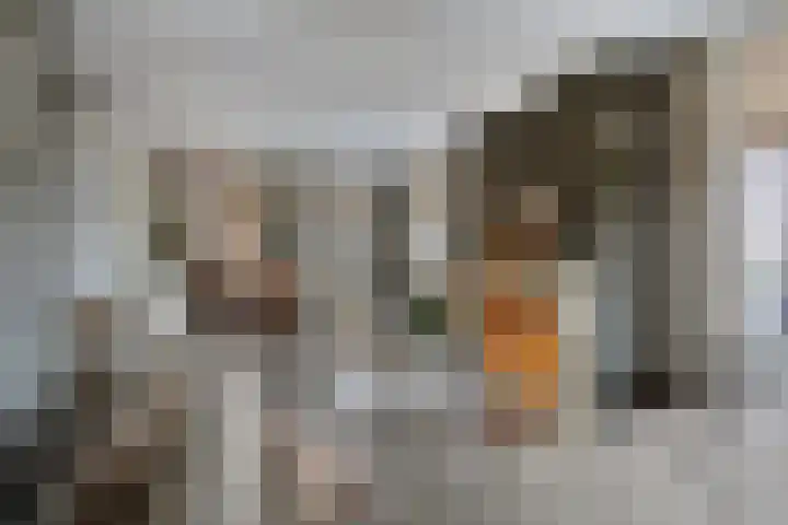 Parallelweg 25 Opheusden thumbnail 5