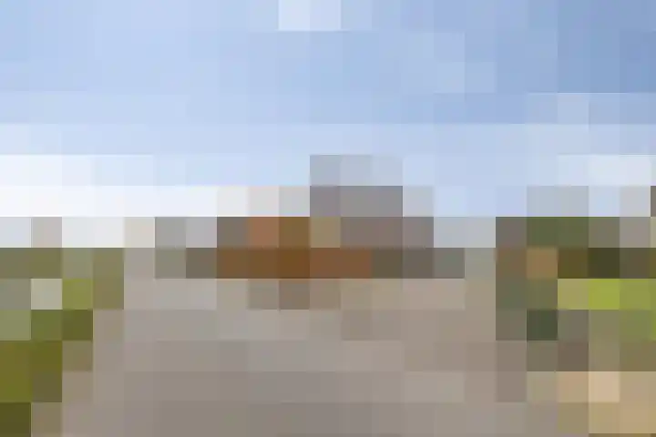 Parallelweg 25 Opheusden thumbnail 58