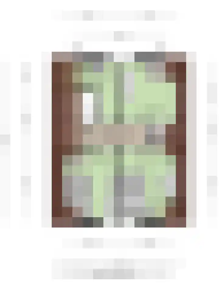 Parallelweg 25 Opheusden thumbnail 61