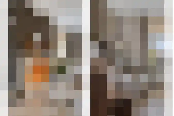 Parallelweg 25 Opheusden thumbnail 9