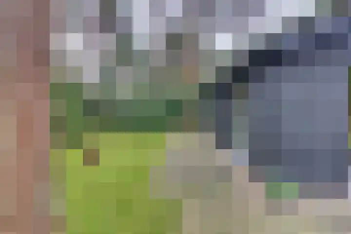 Parallelweg 26 145 Hierden thumbnail 35