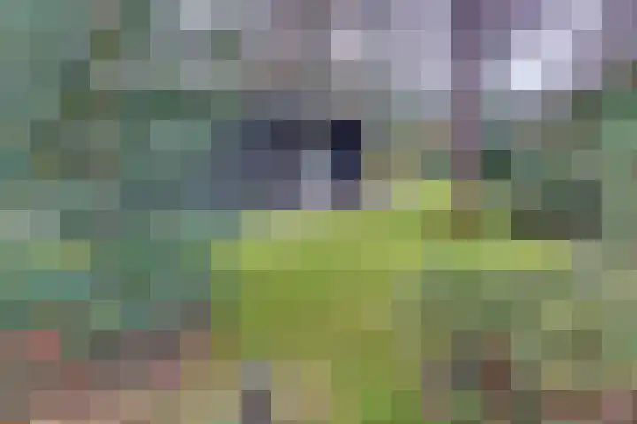 Parallelweg 26 145 Hierden thumbnail 36