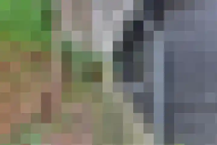 Parallelweg 26 145 Hierden thumbnail 37