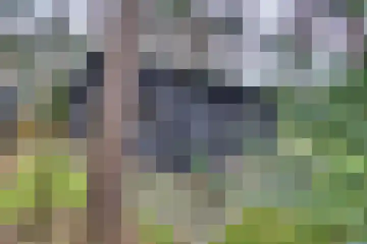 Parallelweg 26 145 Hierden thumbnail 38