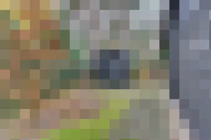 Parallelweg 26 145 Hierden thumbnail 39