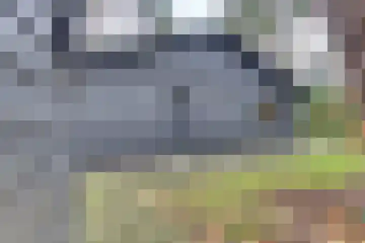 Parallelweg 26 145 Hierden thumbnail 41