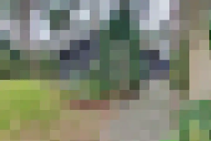 Parallelweg 26 145 Hierden thumbnail 42