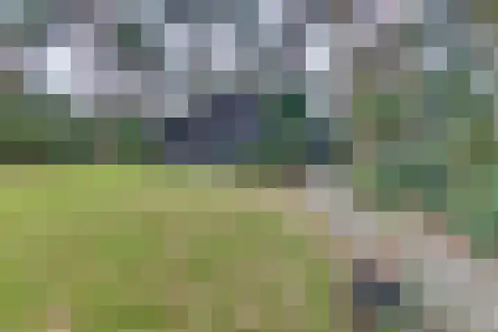 Parallelweg 26 145 Hierden thumbnail 43