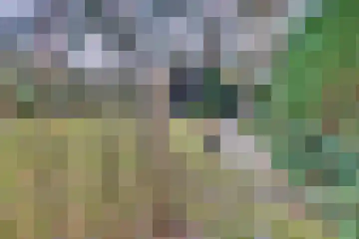 Parallelweg 26 145 Hierden thumbnail 44