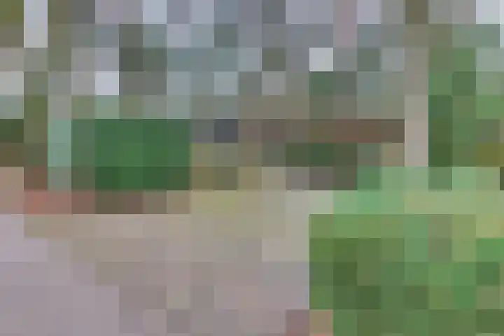 Parallelweg 26 145 Hierden thumbnail 46