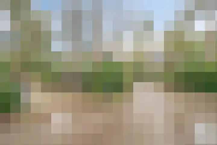 Parallelweg 26 147 Hierden thumbnail 18