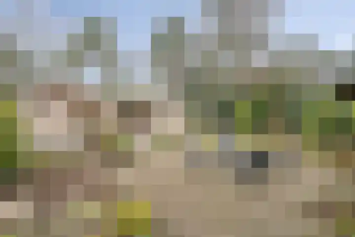 Parallelweg 26 147 Hierden thumbnail 19