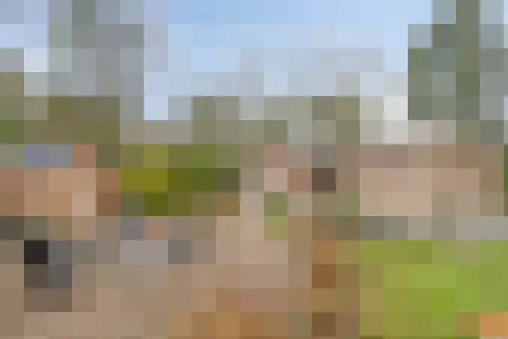 Parallelweg 26 147 Hierden thumbnail 20