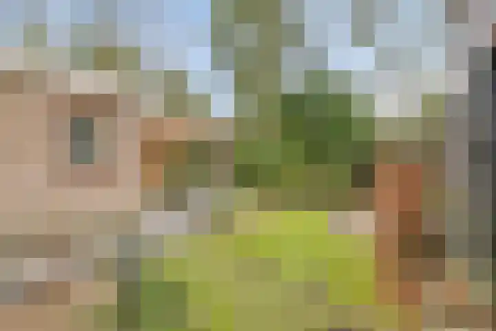Parallelweg 26 147 Hierden thumbnail 21