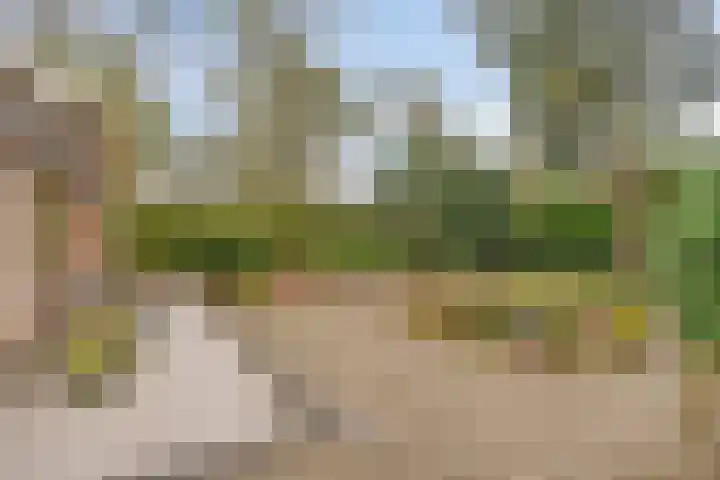 Parallelweg 26 147 Hierden thumbnail 23