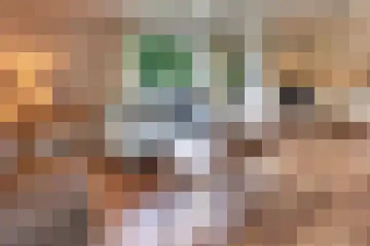 Parallelweg 26 203 Hierden thumbnail 17
