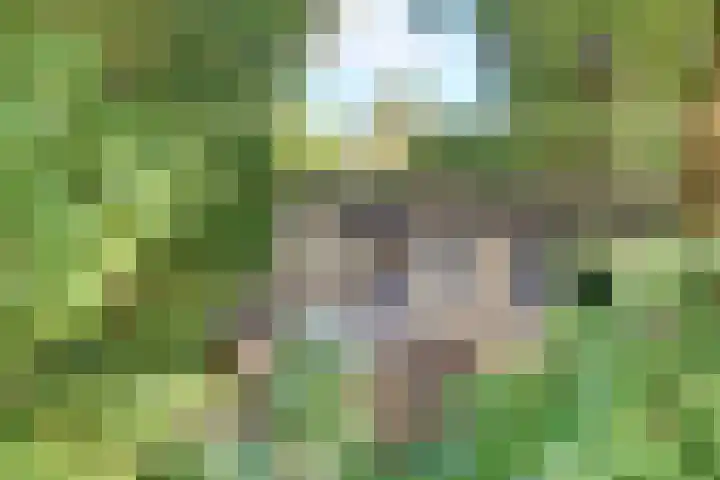 Parallelweg 26 203 Hierden thumbnail 32
