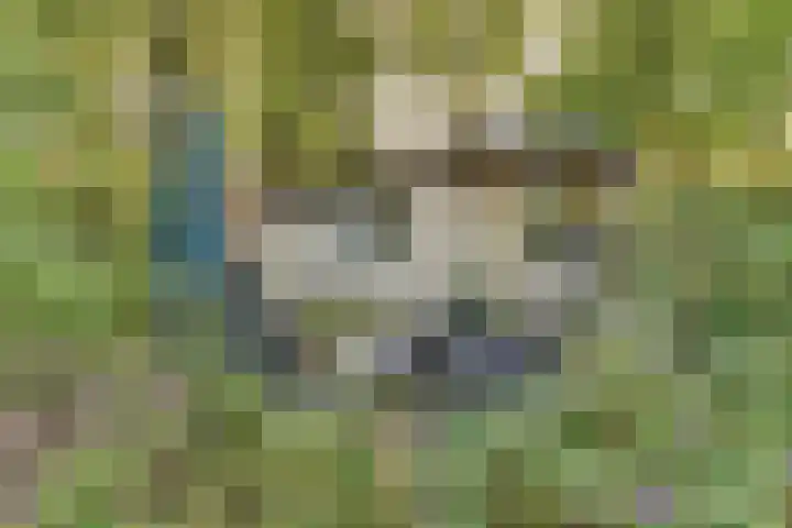 Parallelweg 26 203 Hierden thumbnail 33