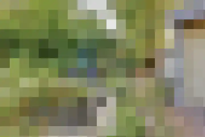 Parallelweg 26 203 Hierden thumbnail 34