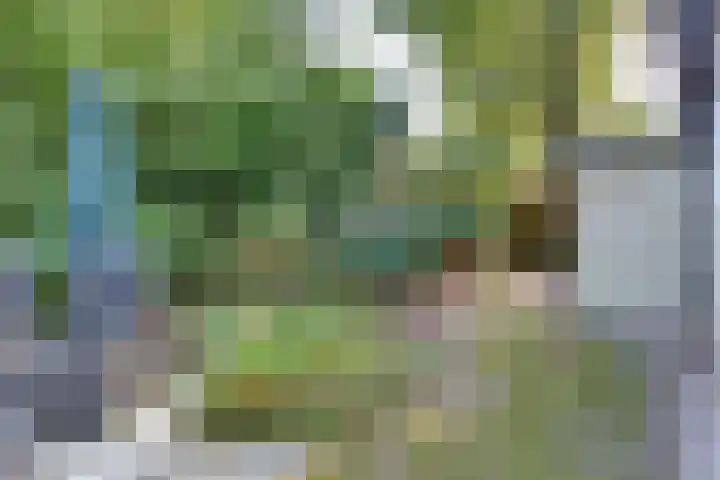 Parallelweg 26 203 Hierden thumbnail 35