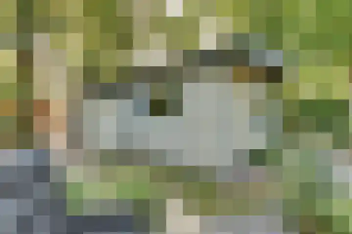 Parallelweg 26 203 Hierden thumbnail 36
