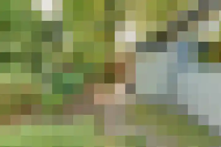 Parallelweg 26 203 Hierden thumbnail 37