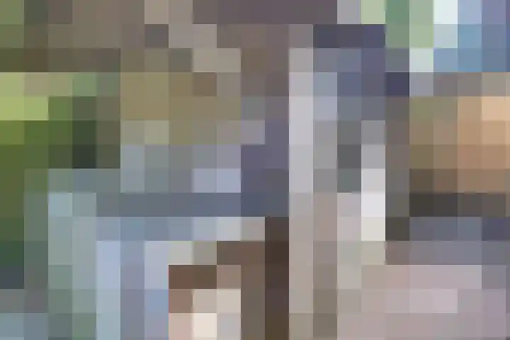 Parallelweg 26 203 Hierden thumbnail 39