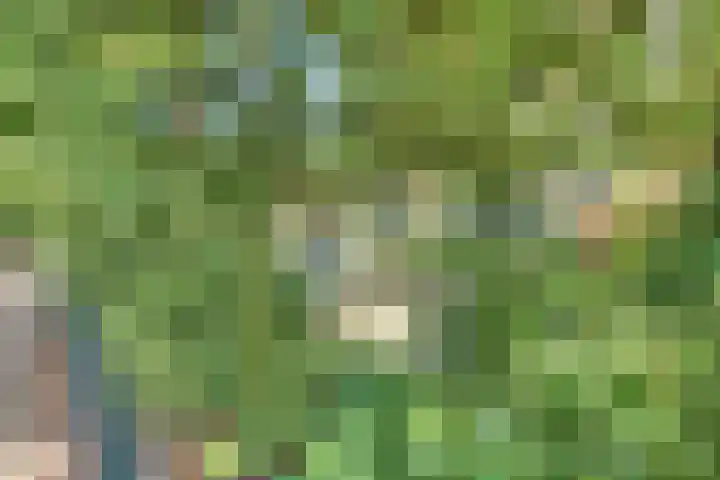 Parallelweg 26 203 Hierden thumbnail 41