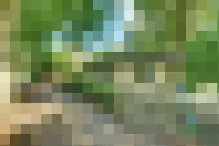 Parallelweg 26 203 Hierden thumbnail 42