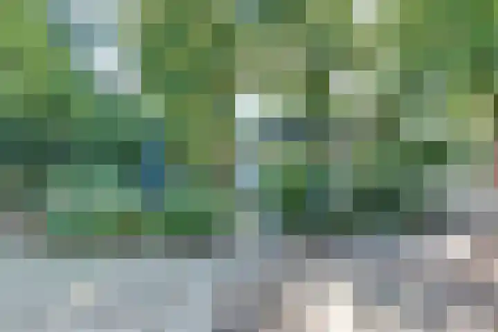 Parallelweg 26 203 Hierden thumbnail 43