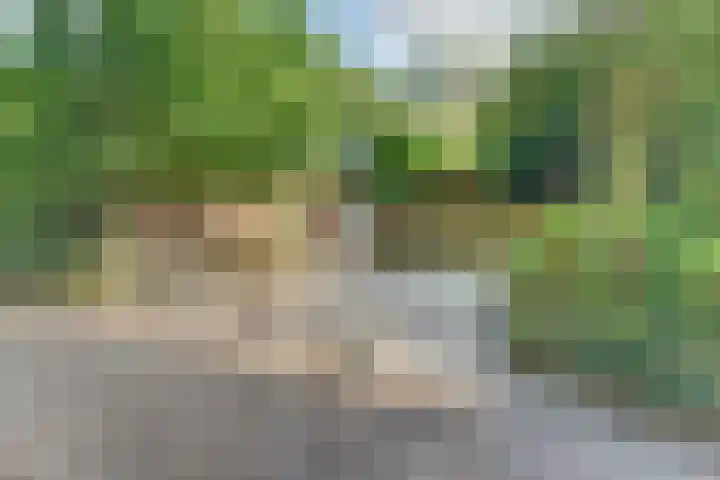 Parallelweg 26 203 Hierden thumbnail 44