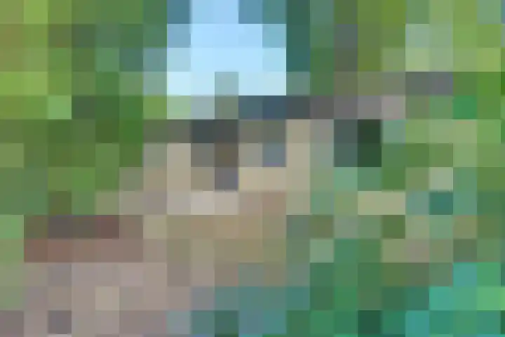 Parallelweg 26 203 Hierden thumbnail 6
