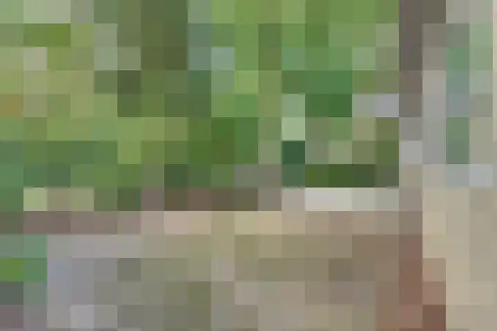 Parallelweg 26 203 Hierden thumbnail 7