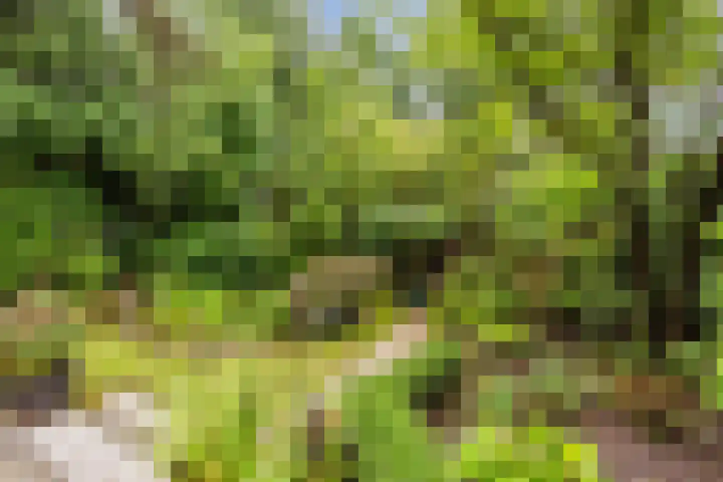 Parallelweg 26 206 Hierden thumbnail 38