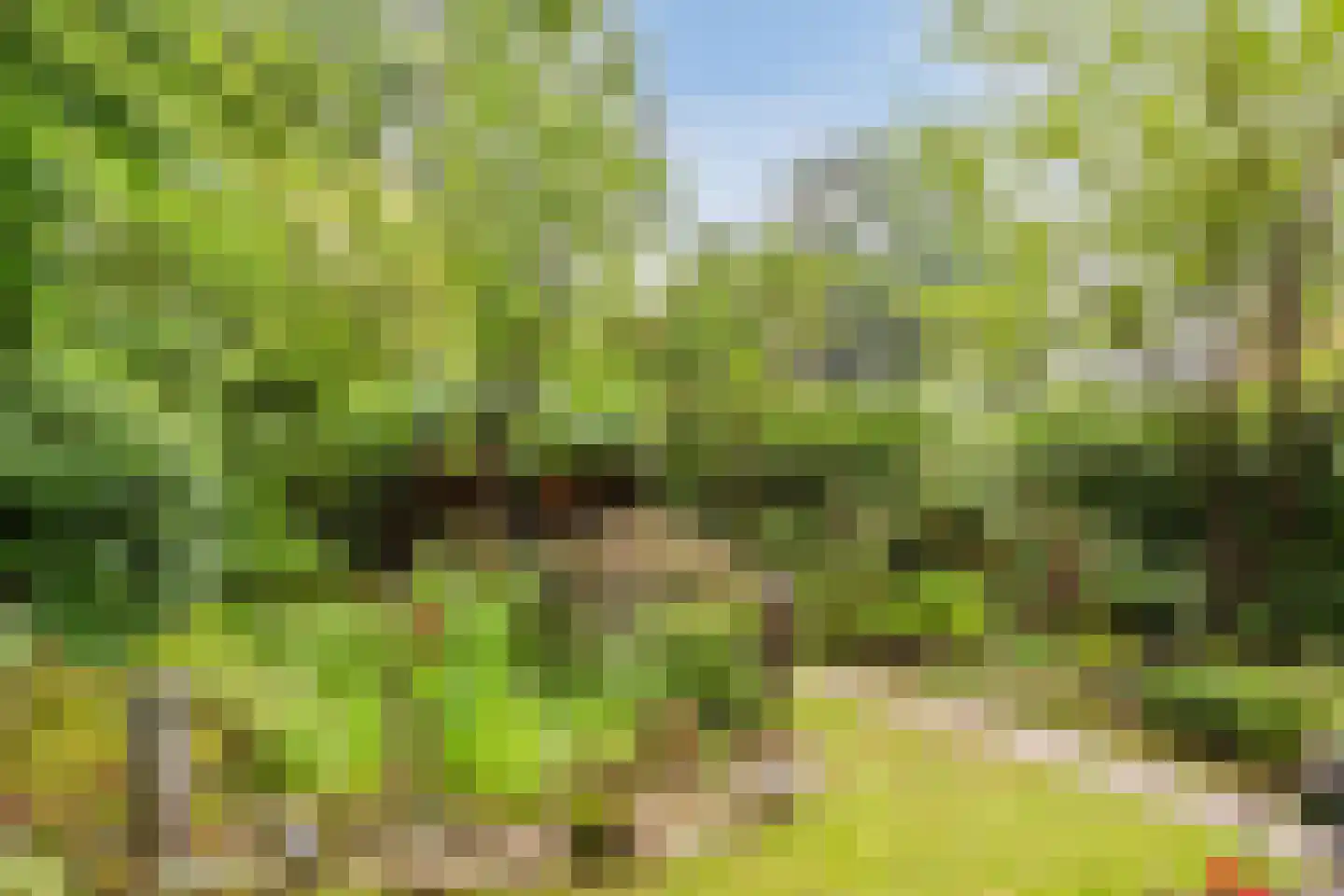 Parallelweg 26 206 Hierden thumbnail 42
