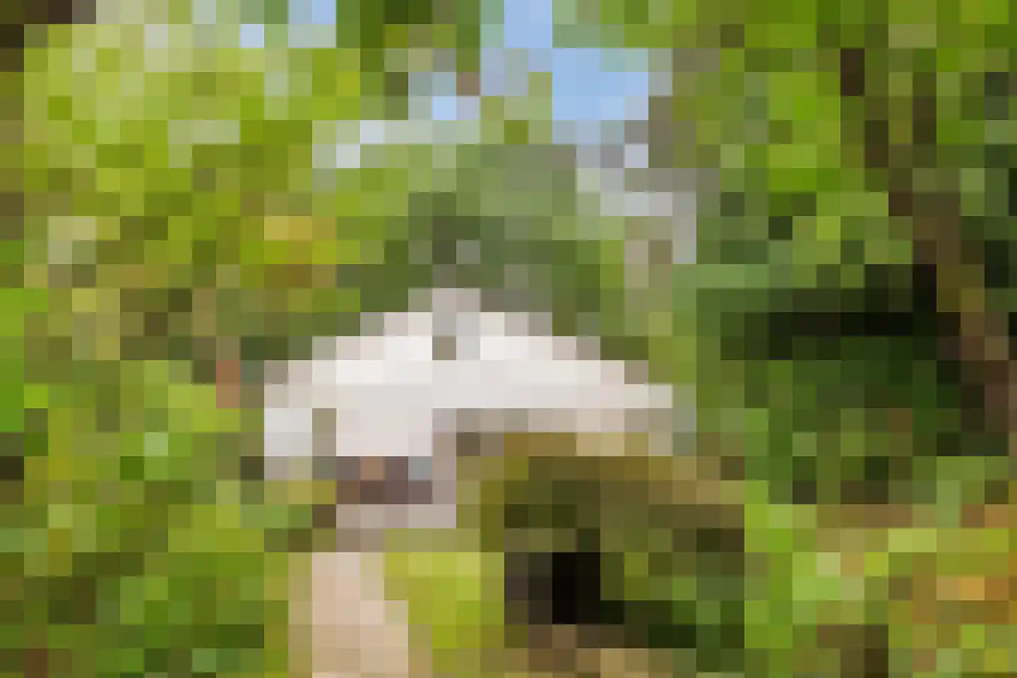 Parallelweg 26 206 Hierden thumbnail 44