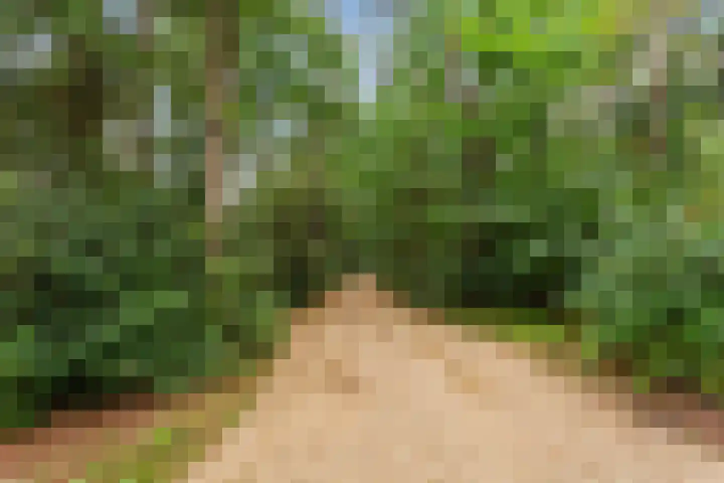 Parallelweg 26 206 Hierden thumbnail 46