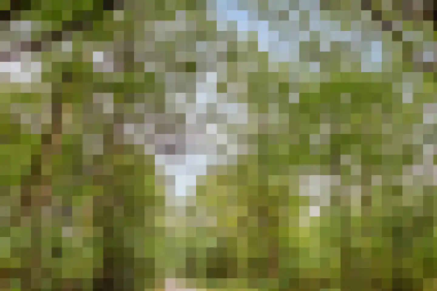 Parallelweg 26 206 Hierden thumbnail 47