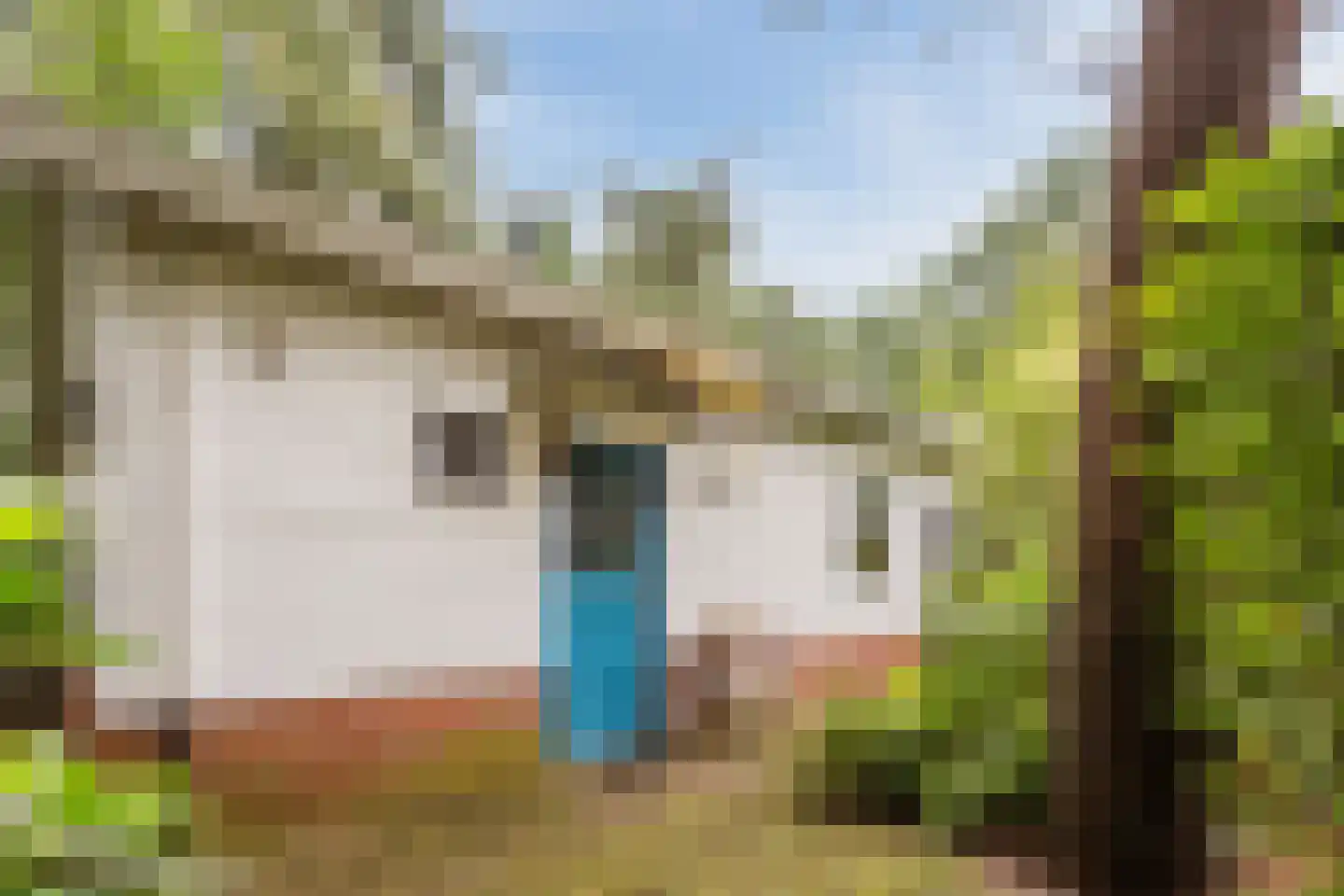 Parallelweg 26 206 Hierden thumbnail 5