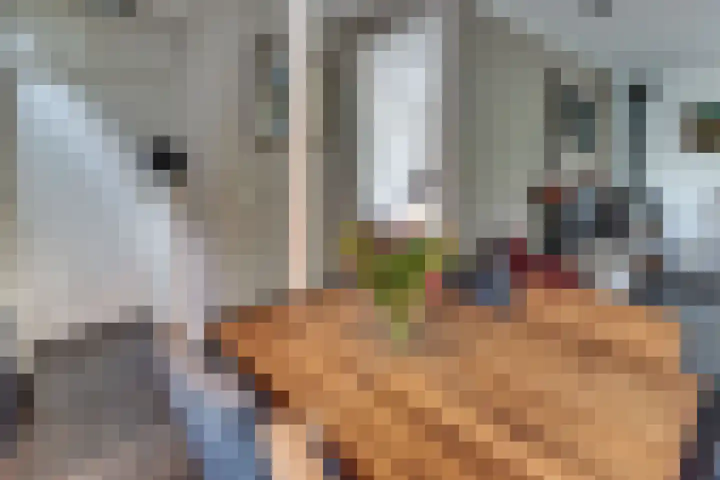 Parallelweg 26 207 Hierden thumbnail 18