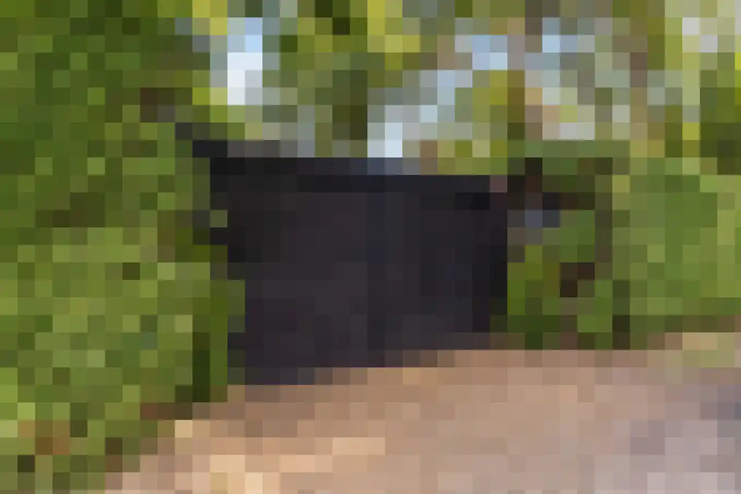 Parallelweg 26 234 Hierden thumbnail 13