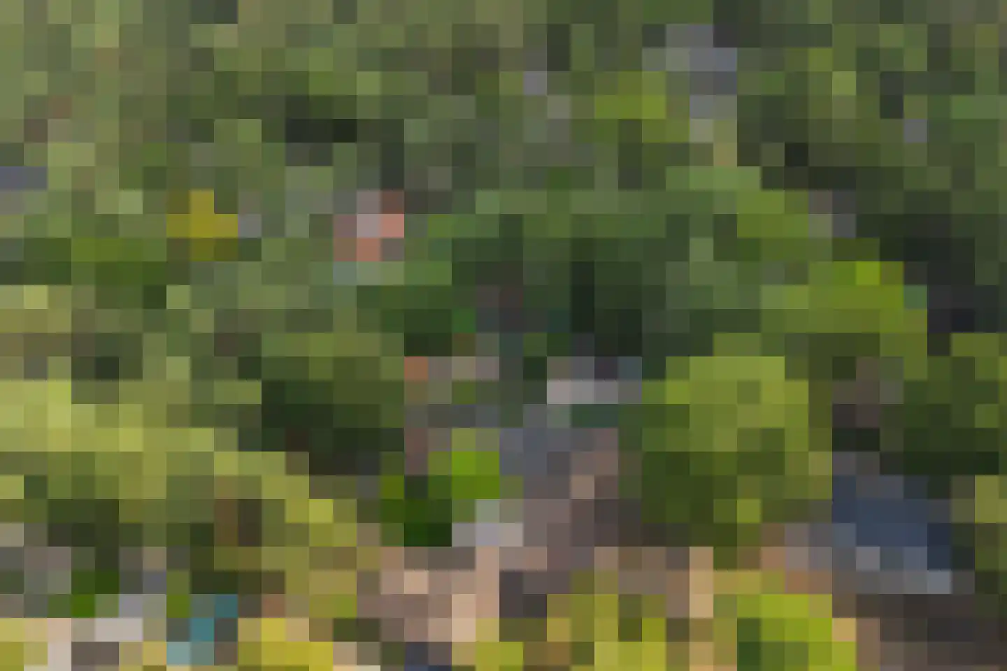 Parallelweg 26 234 Hierden thumbnail 9