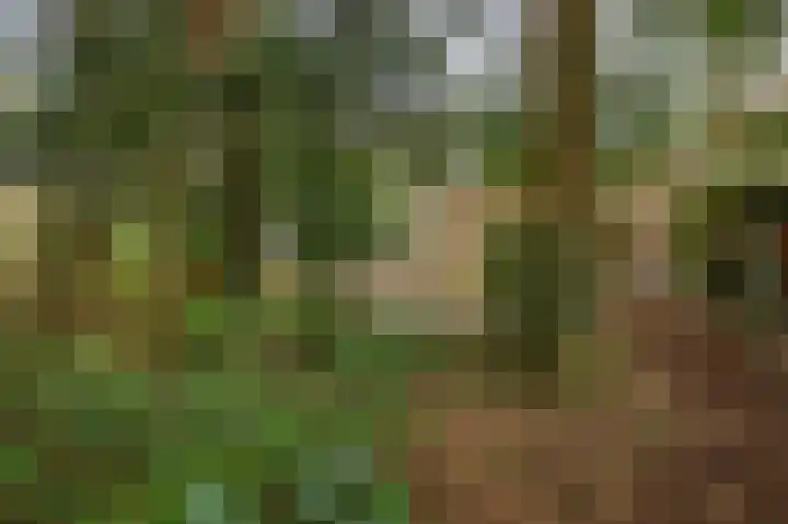 Parallelweg 26 24 Hierden thumbnail 18