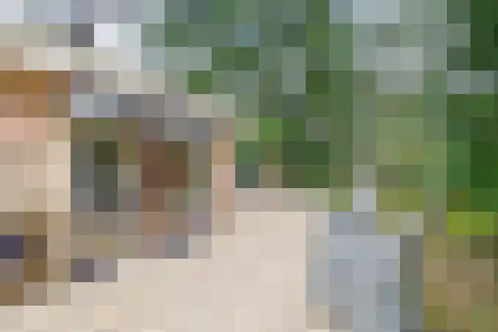 Parallelweg 26 24 Hierden thumbnail 20