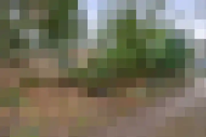 Parallelweg 26 24 Hierden thumbnail 29